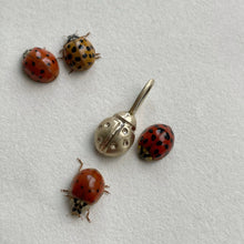 Load image into Gallery viewer, November - OOAK yellow gold ladybug pendant
